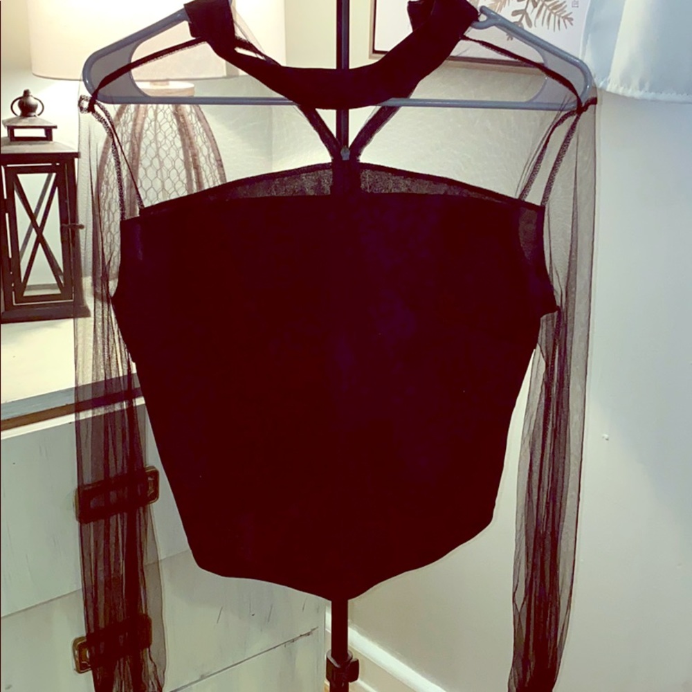 Sheer long sleeve crop top